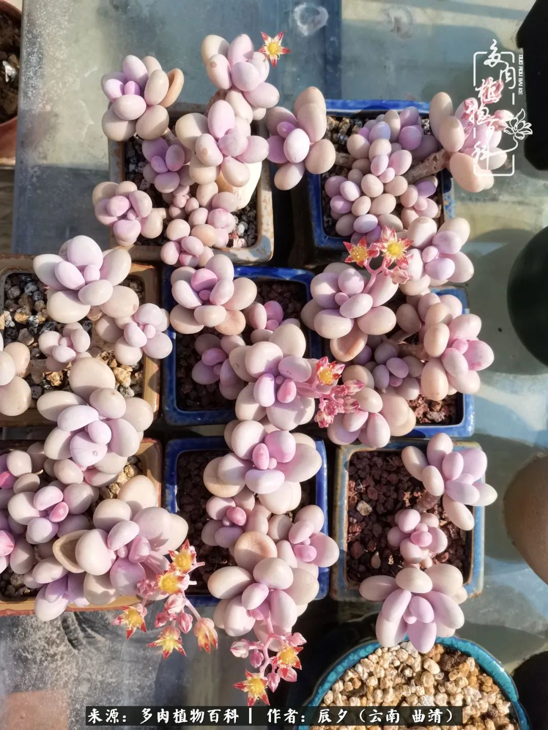 缂辩换鏃栨棊钁宠暏鐢熼,缂辩换鏃栨棊钁宠暏鐢熼鍑哄