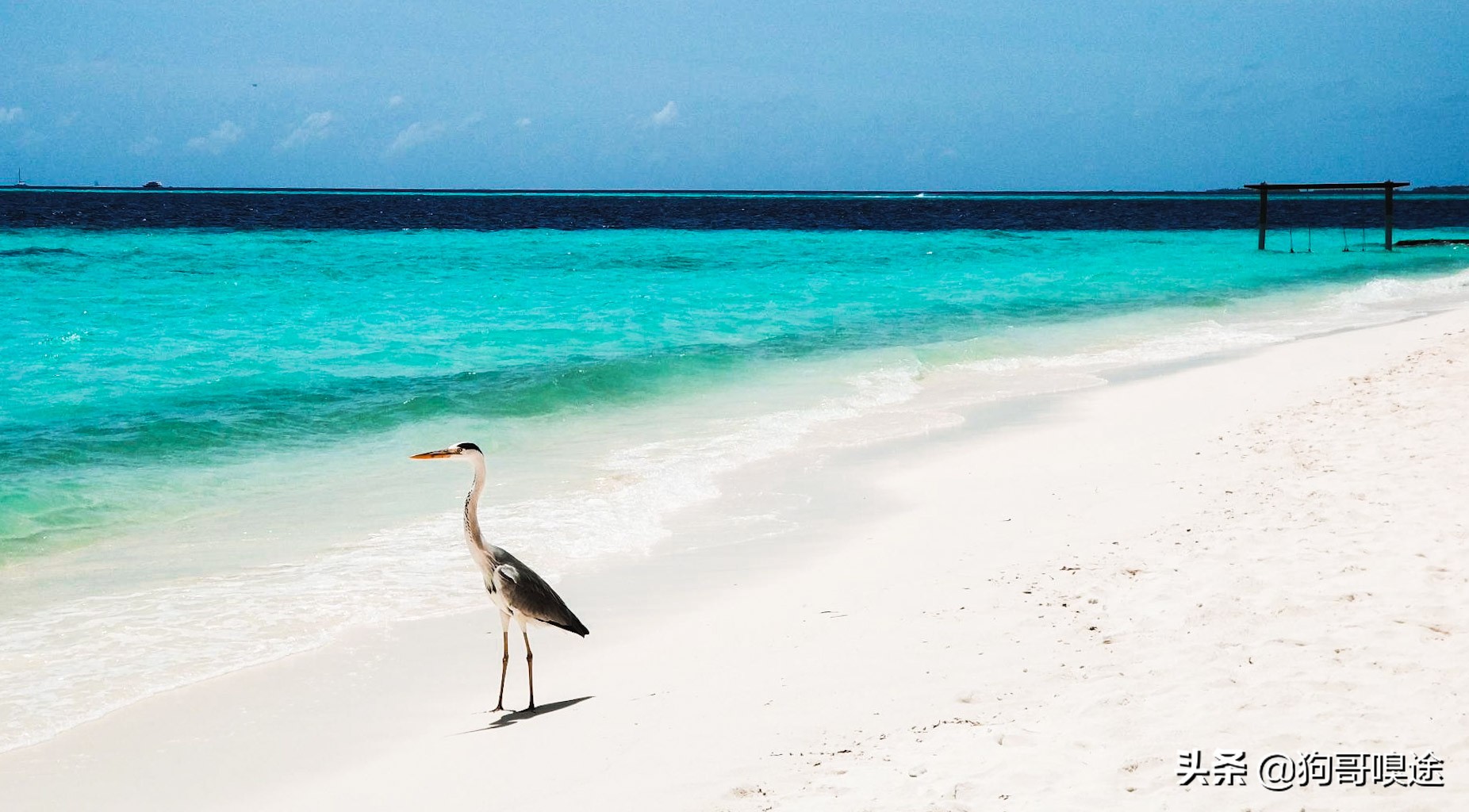 哪些地方有碧海蓝天,马尔代夫椰林树影水清沙白