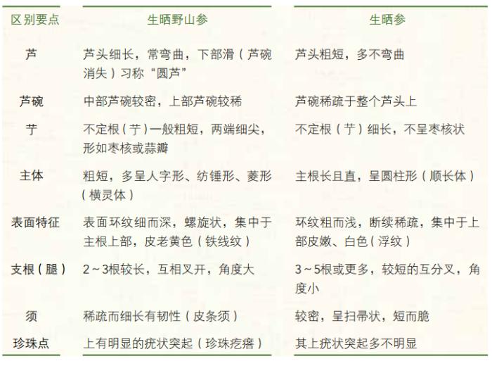 人参种类的区分,人参分类区别图解大全