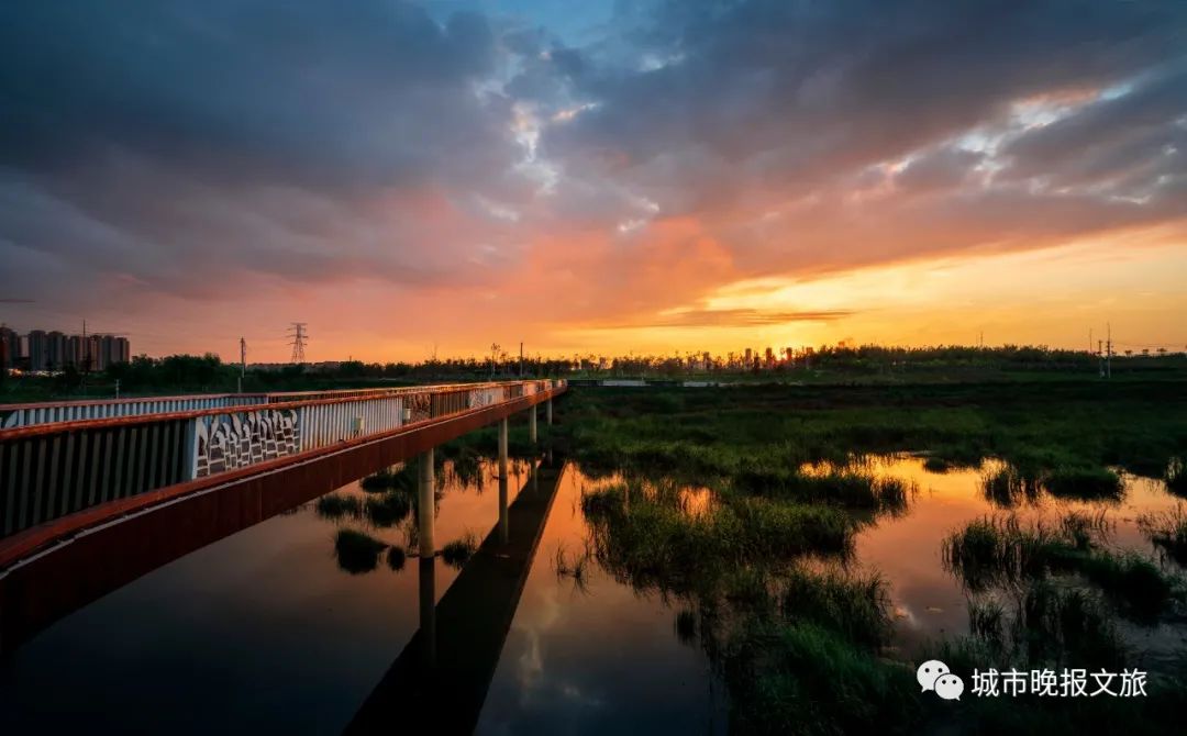 城晚拍拍丨落日余晖