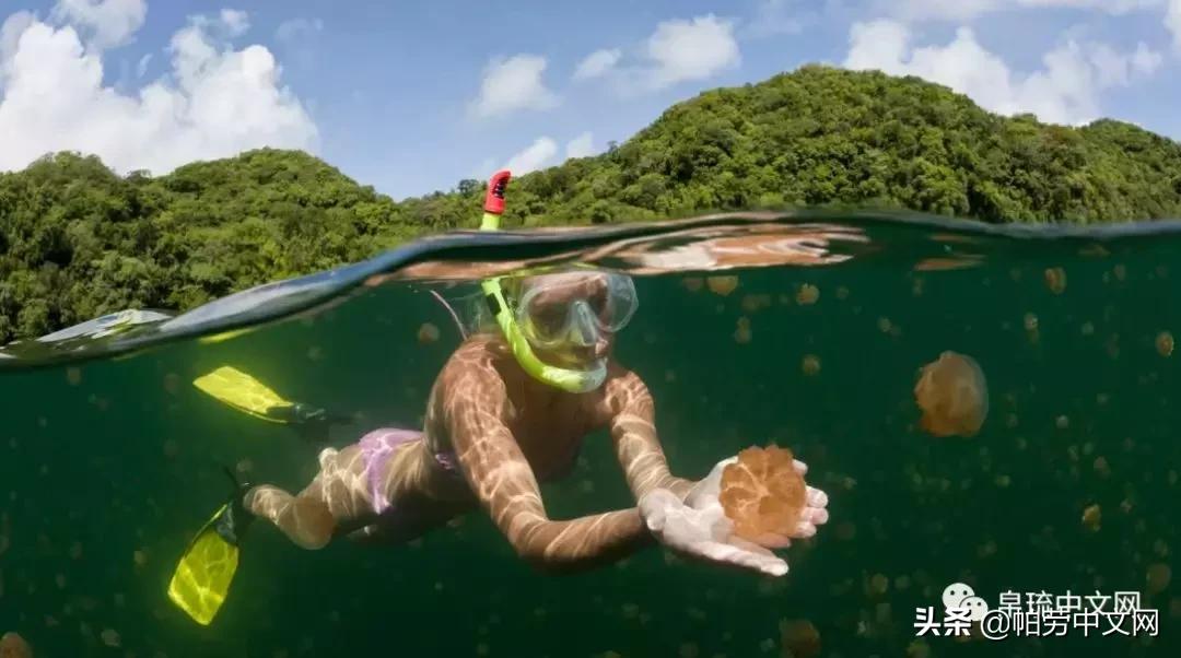 甯曞姵姘存瘝婀栫殑姘存瘝鍙互鎽稿悧,甯曞姵姘存瘝杩樿兘鎶撳悧