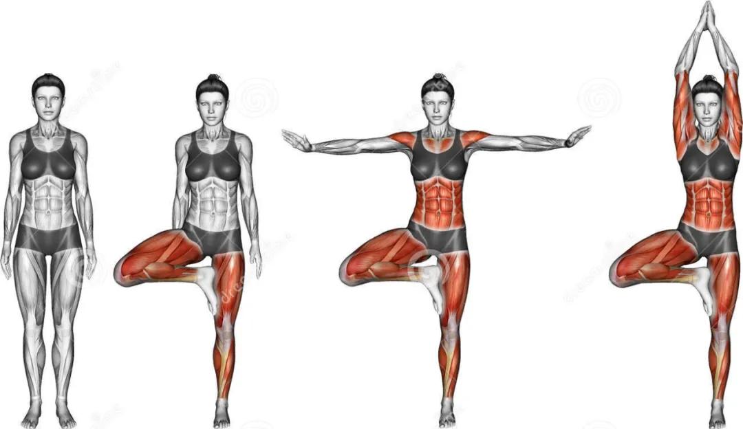 放松肌肉的动作图,各个肌肉的放松方法