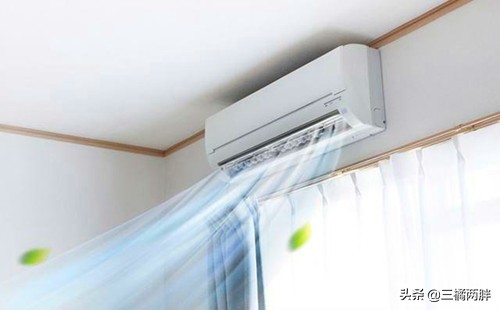 幼犬吹空调,幼狗吹空调注意什么