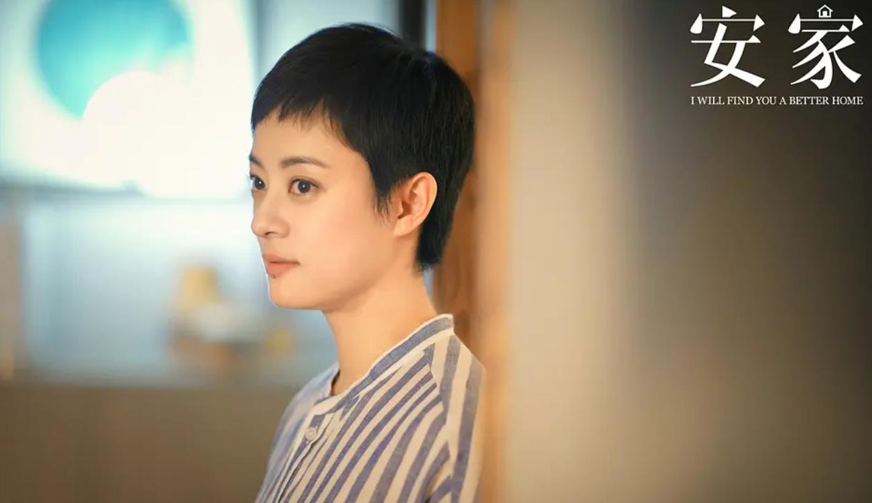 安家后续深度解析,安家透露出的问题