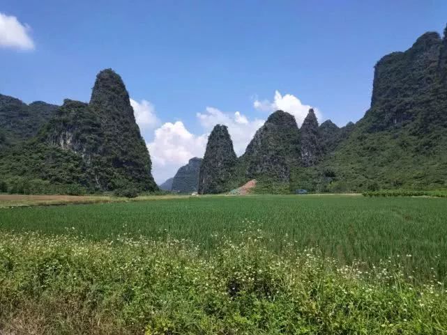 百里山水画廊深度,百里画廊风景如画心旷神怡