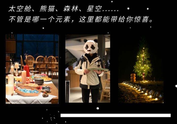 彭州太空舱营地,成都熊猫森林太空舱民宿