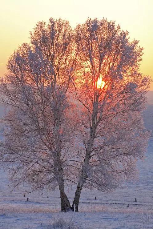 冬日的坝美有多美,冬日的坝上草原