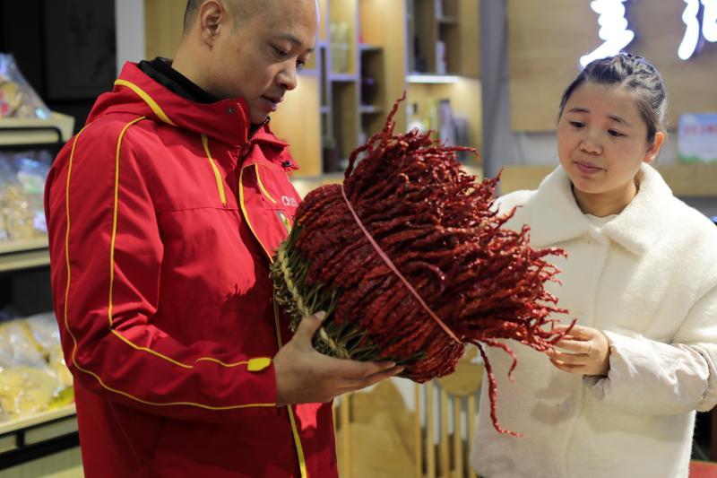 百世快运能进村吗,百世快运进村了吗