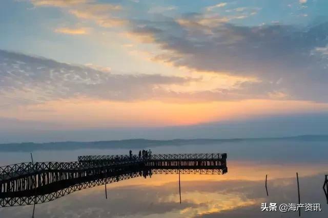 大闸蟹怎么吃才是最正确的,大闸蟹的正确吃法你知道吗