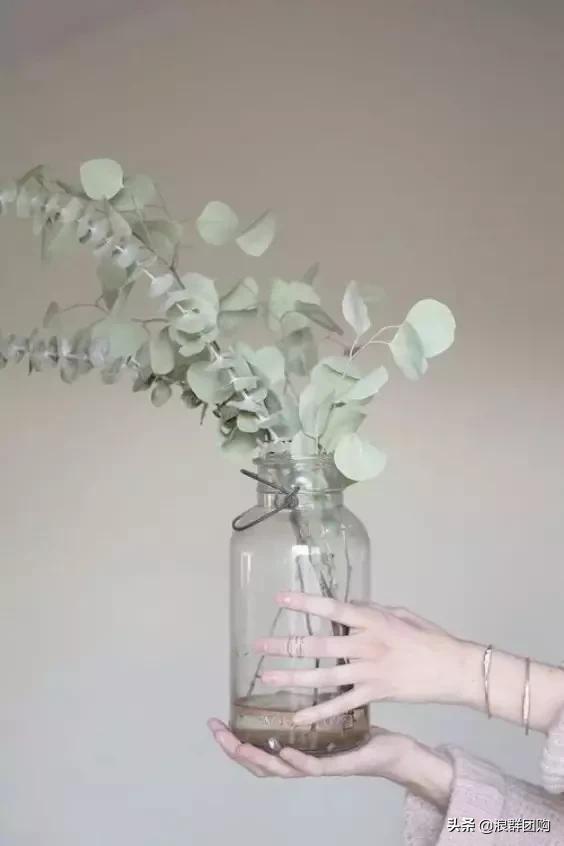 尤加利灰色好看吗,尤加利青配色图片