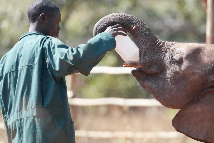只为一串佛珠,他活剥了我妈的皮:人心有多可怕,你根本想象不到