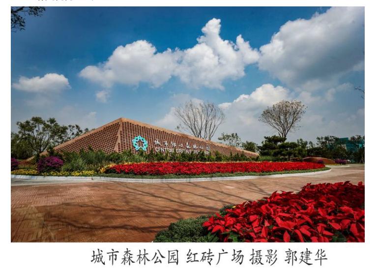 城市副中心美丽夜景,城市副中心美景