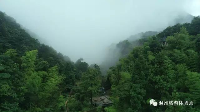 茶山寻幽处全文,茶山美景如仙境