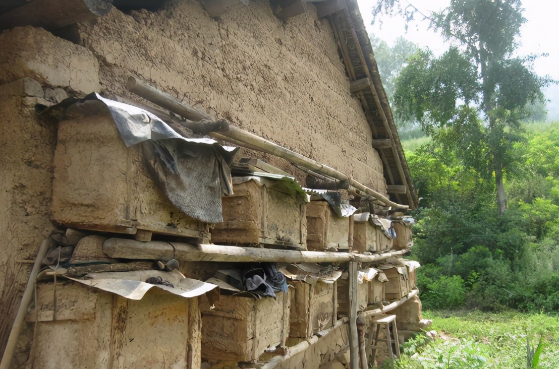 曾卖上百元1斤的土蜂蜜,城里人专门跑农村购买,为何现在少了?