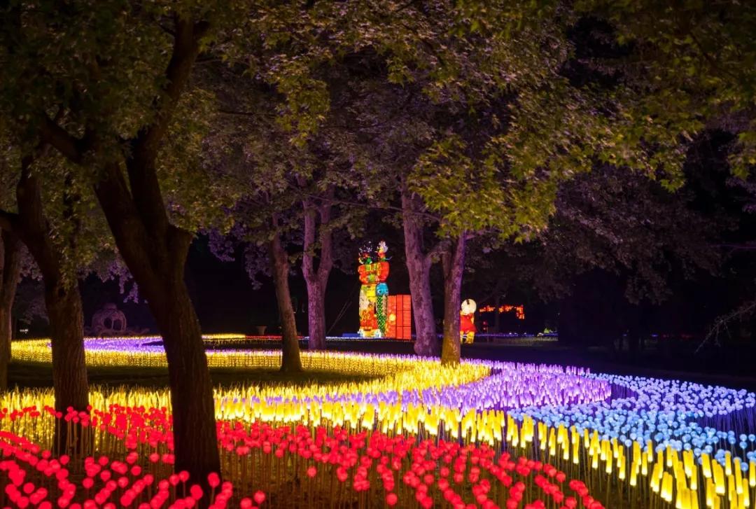 2020丰台文化和旅游消夏季活动正式启动！5条线路，游园、嬉水、赏花、亲子、夜游，全都有！