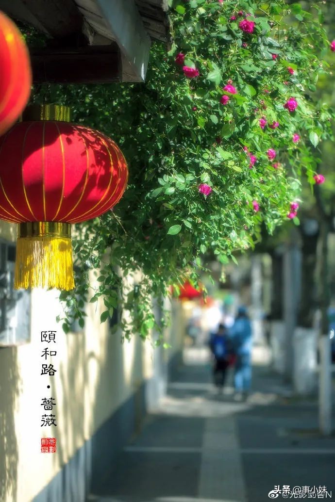 南京是什么味的,南京以什么口味为主