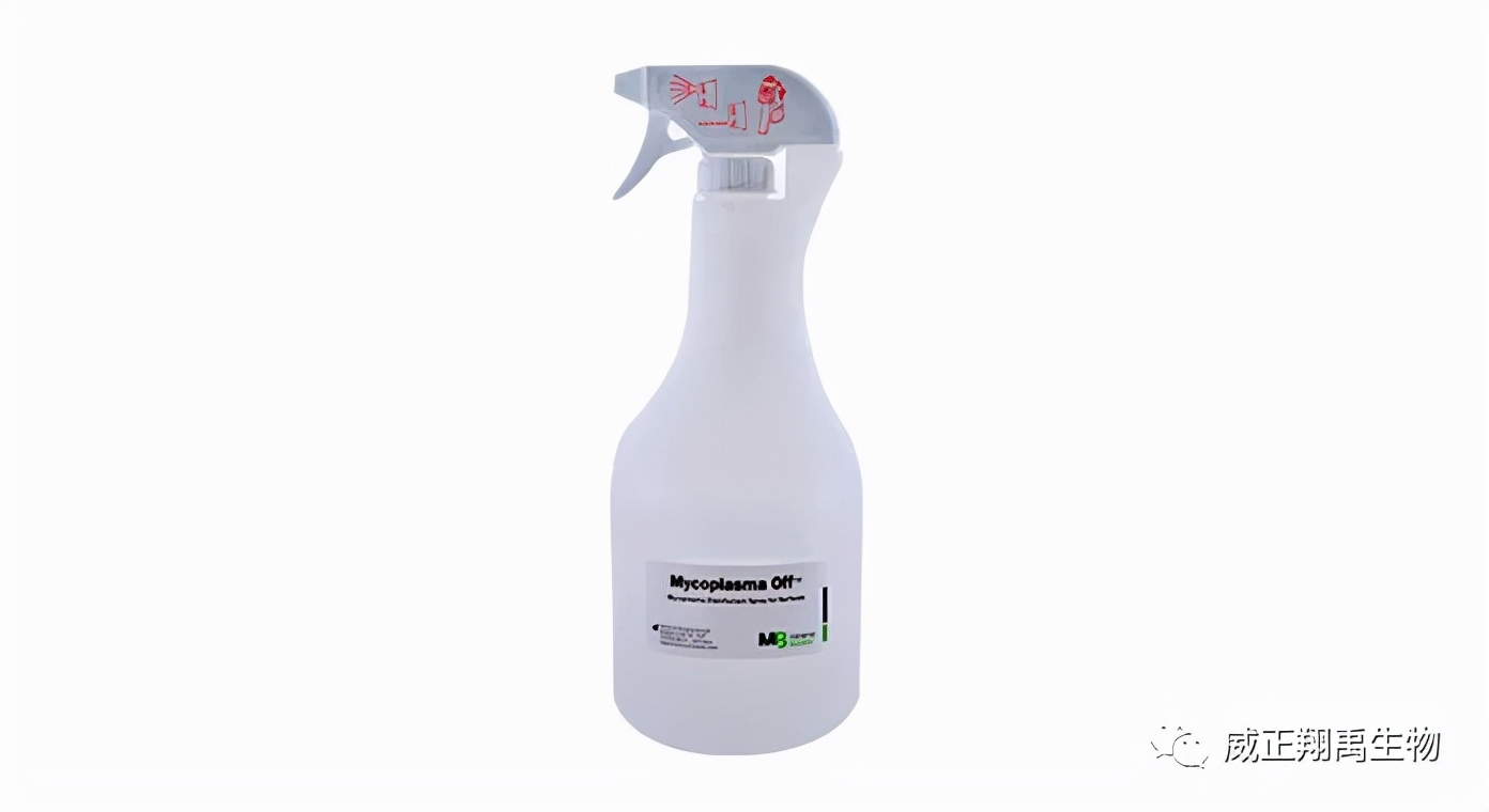 支原体污染怎么处理,支原体污染