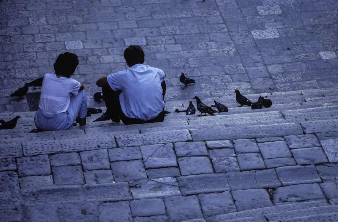 万般皆苦唯有自渡自愈自懂,世间皆苦唯有自渡自愈