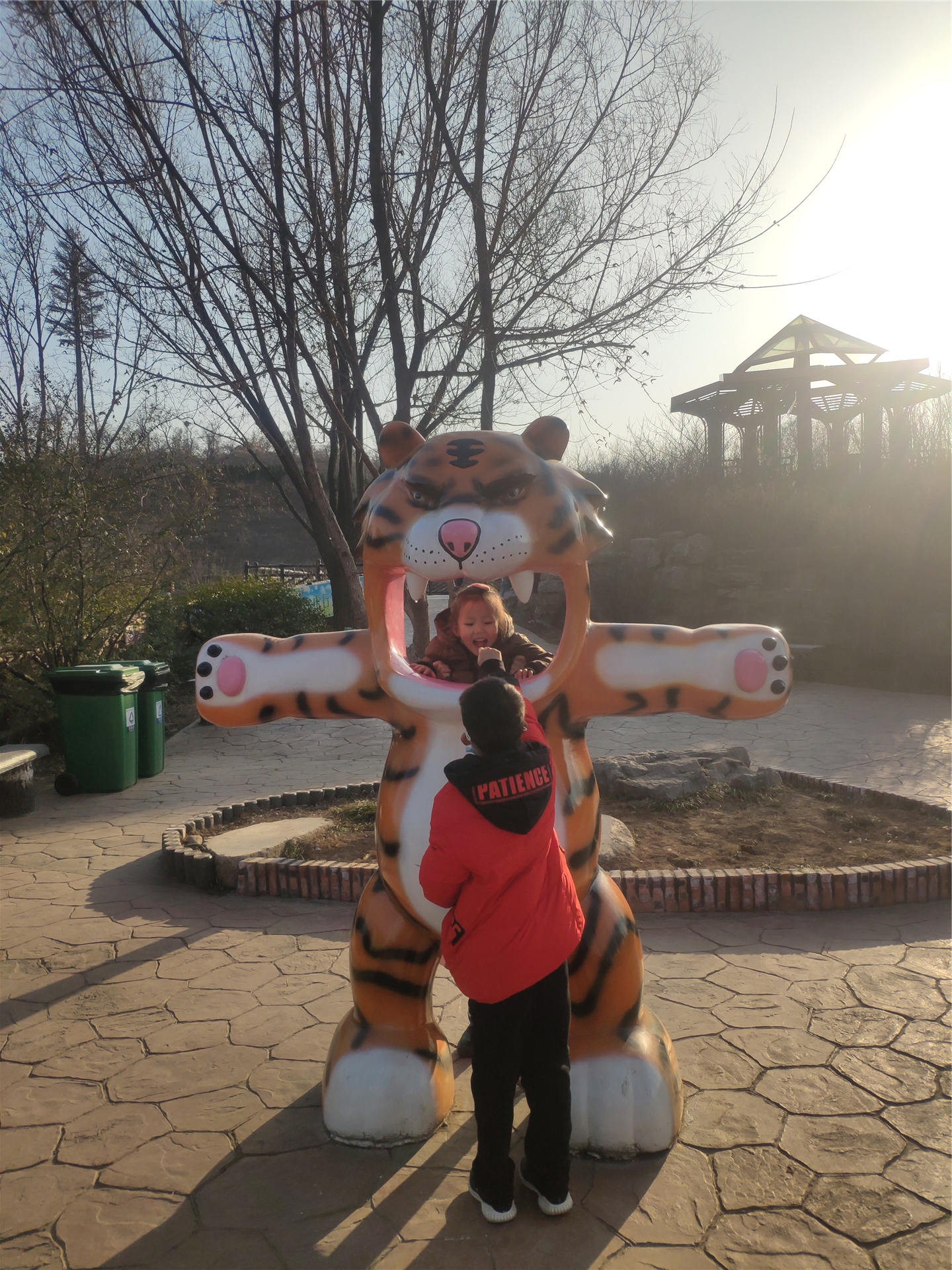 推荐一个好地方长隆野生动物世界,长隆野生动物世界全景