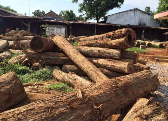 红木家具阔叶黄檀的基础知识,缅花和阔叶黄檀哪个有收藏价值