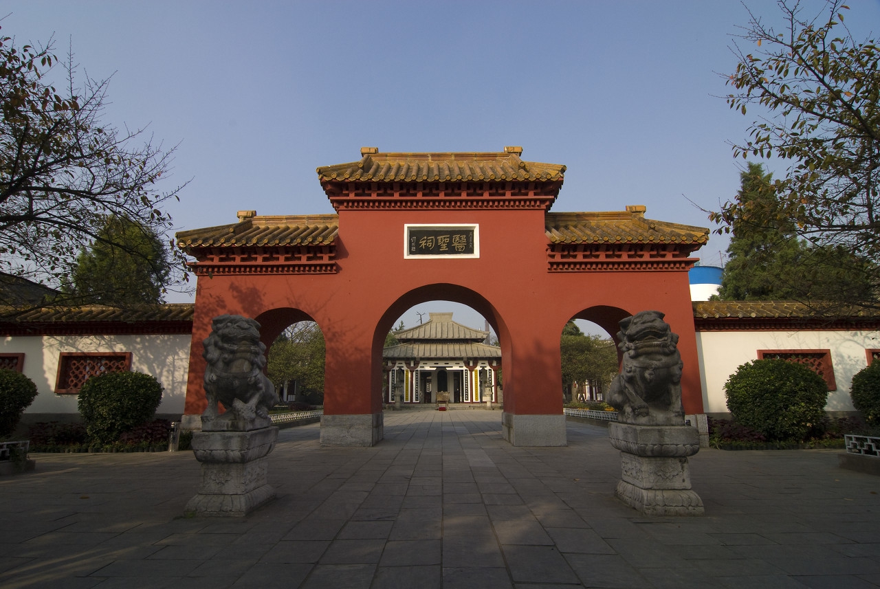 金荞麦治肺炎,金荞麦治13种病