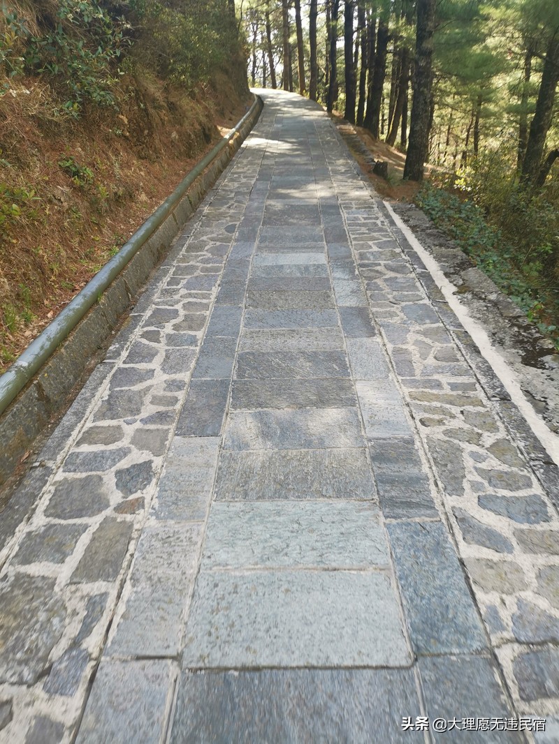 苍山一日游旅游攻略,苍山一日游自驾游