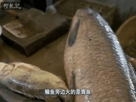 日本人35年前拍的中国美食纪录片，凭什么9.2高分？