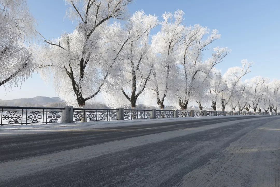 最好看的雾凇,为什么吉林的雾凇最知名