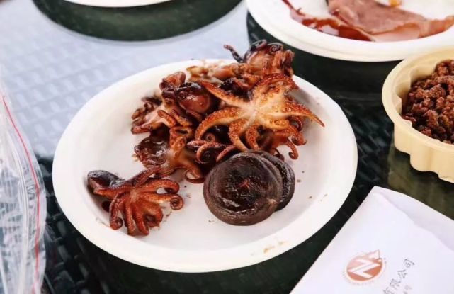 2.0t+9at车型,2.0t9at的动力组合的国产车