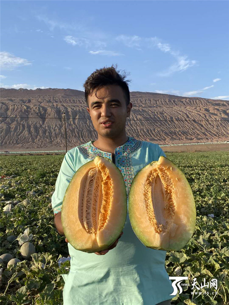 爱家乡爱*疆新**|吐鲁番小伙返乡创业：直播带货为家乡发展尽力