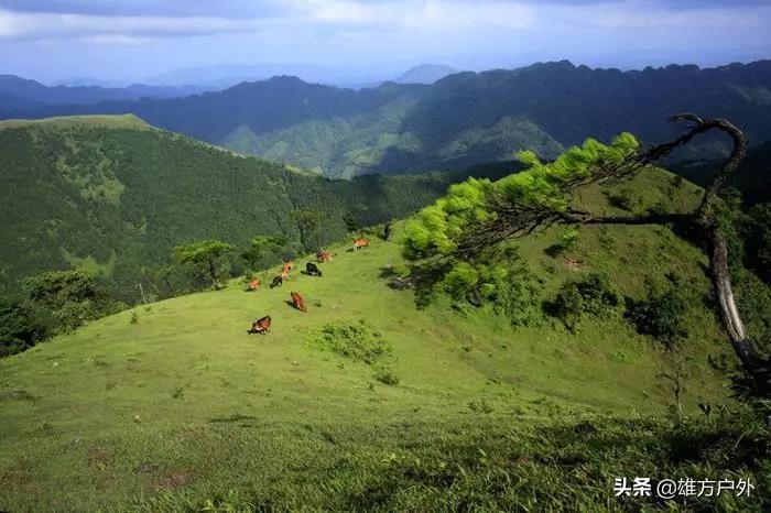 广东最美草原,藏在广东的八大草原