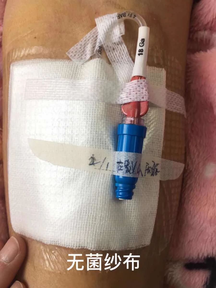 我是一根藤完整版,我是一根葱原版叫什么