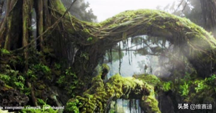 金刚电影各种怪兽排名,金刚骷髅岛大战怪兽电影