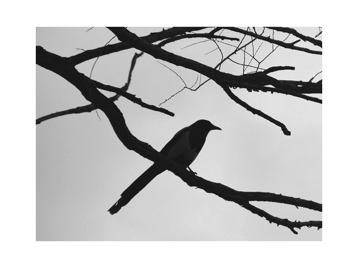 2017米拍十佳摄影师,2023米拍摄影奖名单