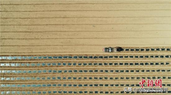 新冠肺炎对农林牧渔业行业的影响,新冠肺炎对农业企业影响