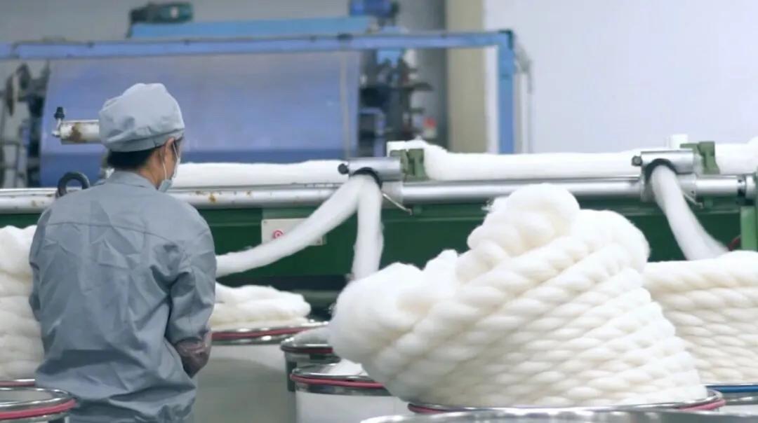 羊绒制品起源,中国羊绒历史简介