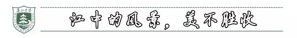 谢谢你,吴江哪个中学好