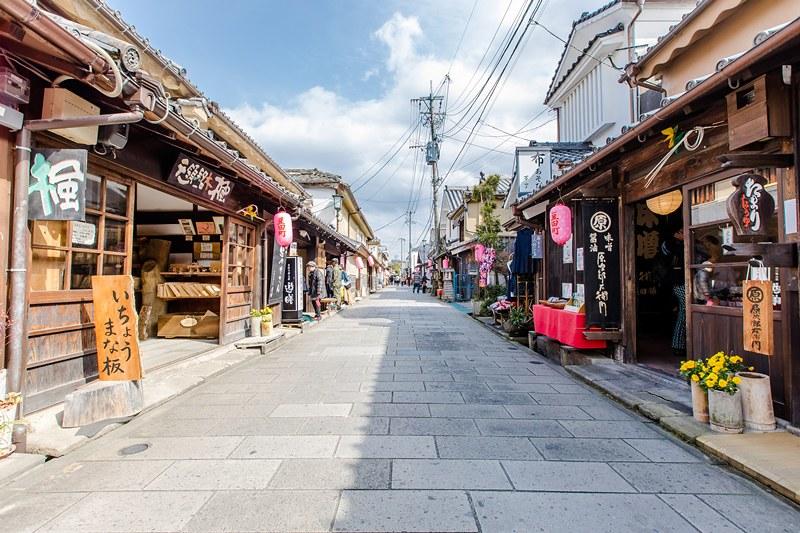 比大熊猫还濒危的小熊猫,比熊猫更稀有的小熊