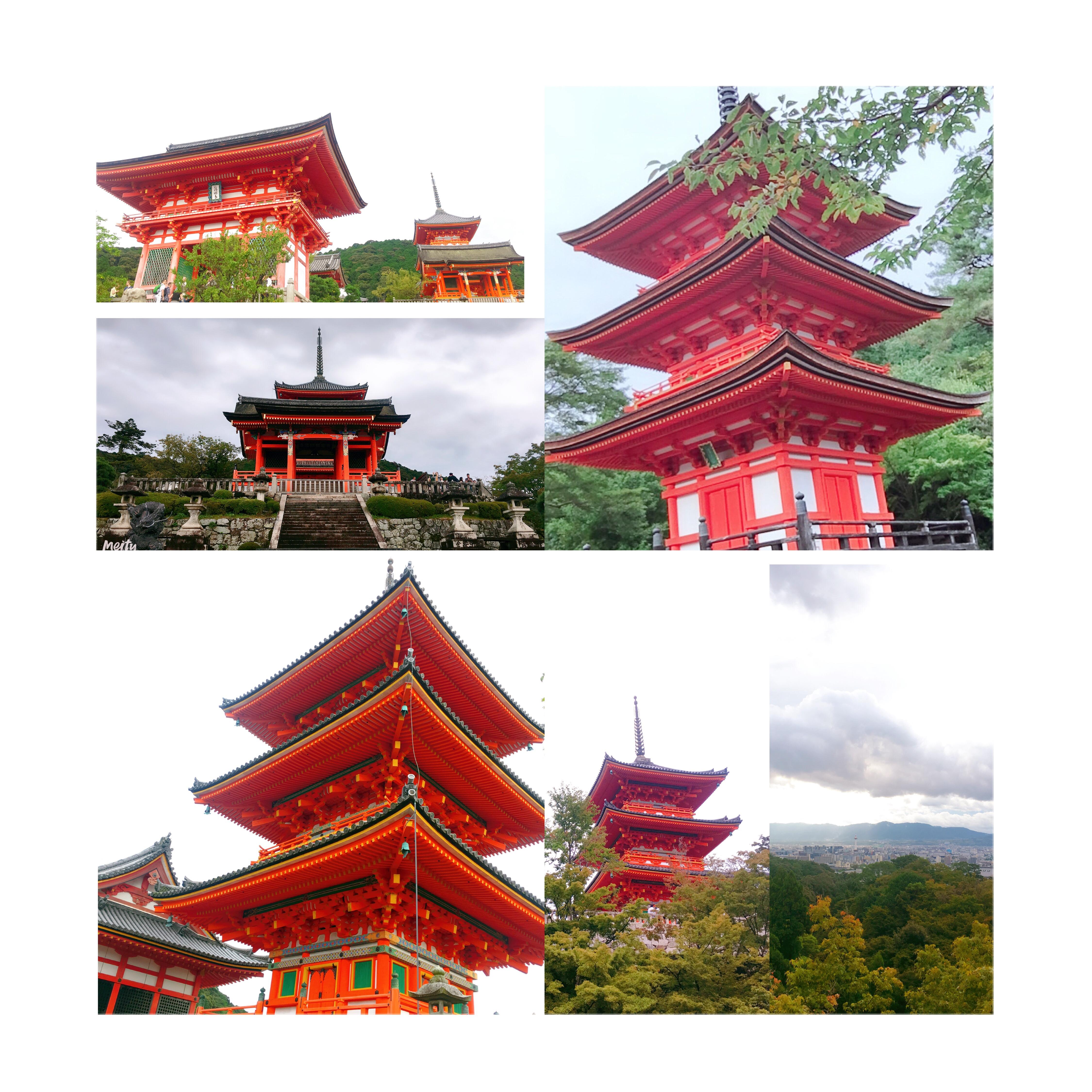 京都之旅探寻古都的魅力与美景,日本旅游东京京都霓虹初见