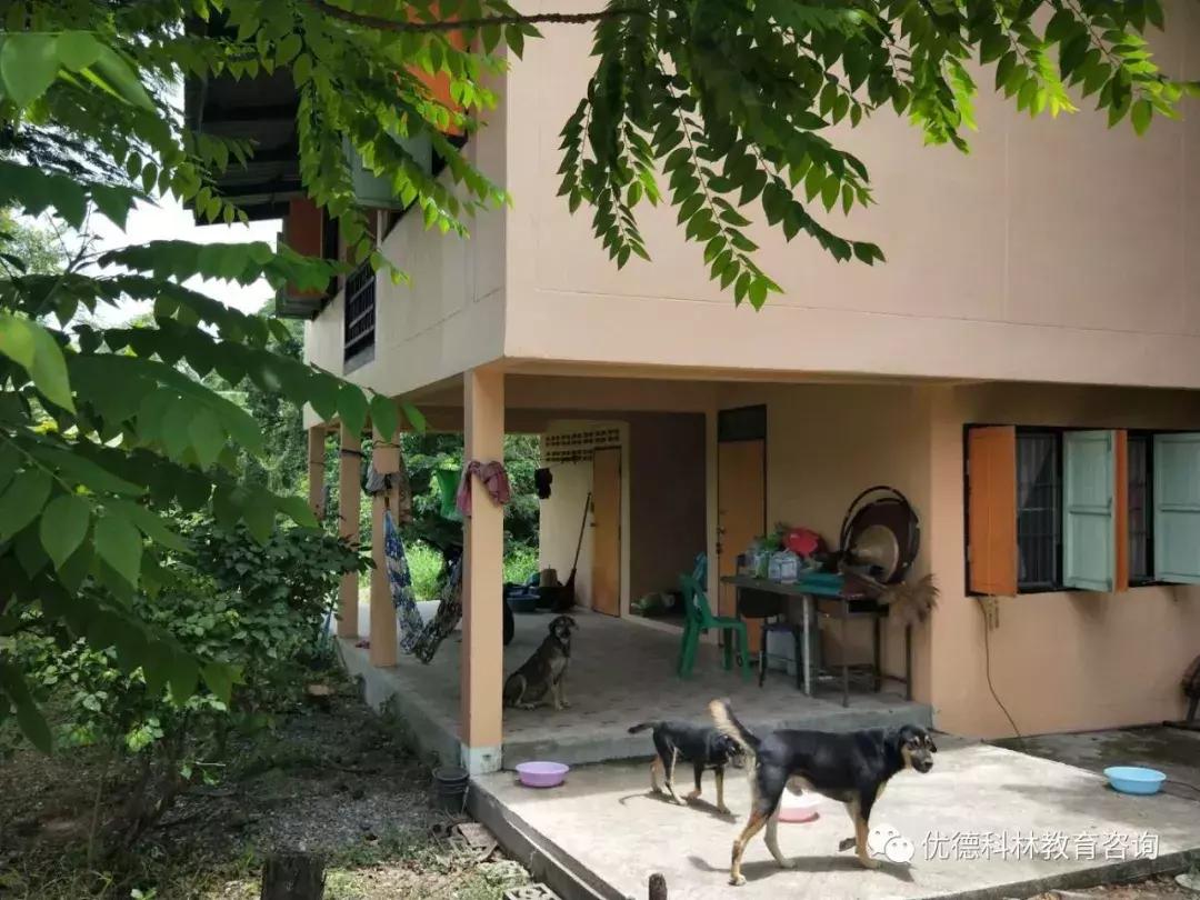 想去泰国当中文老师有什么要求,中国人如何去泰国当中文老师