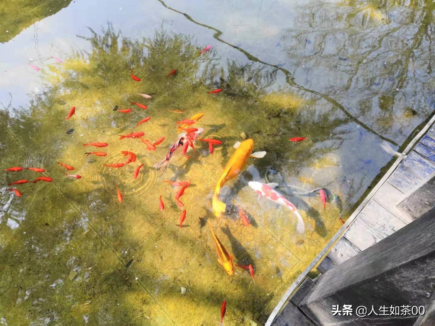 德日建筑群,山东德日建筑