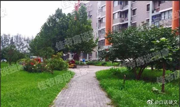 300万海淀买次新来这里不太“南”