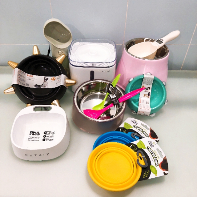 养狗前需要准备些什么！灵茉文章