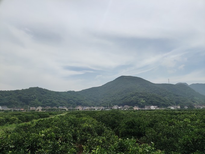 桃花岛游览区,舟山桃花岛旅游攻略自由行