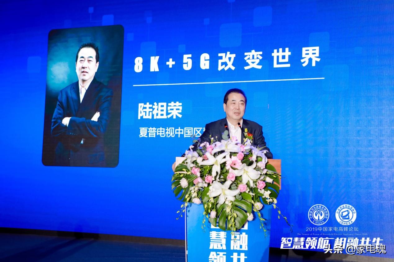 智慧领航相融共生2019中国家电高峰论坛在宁举行