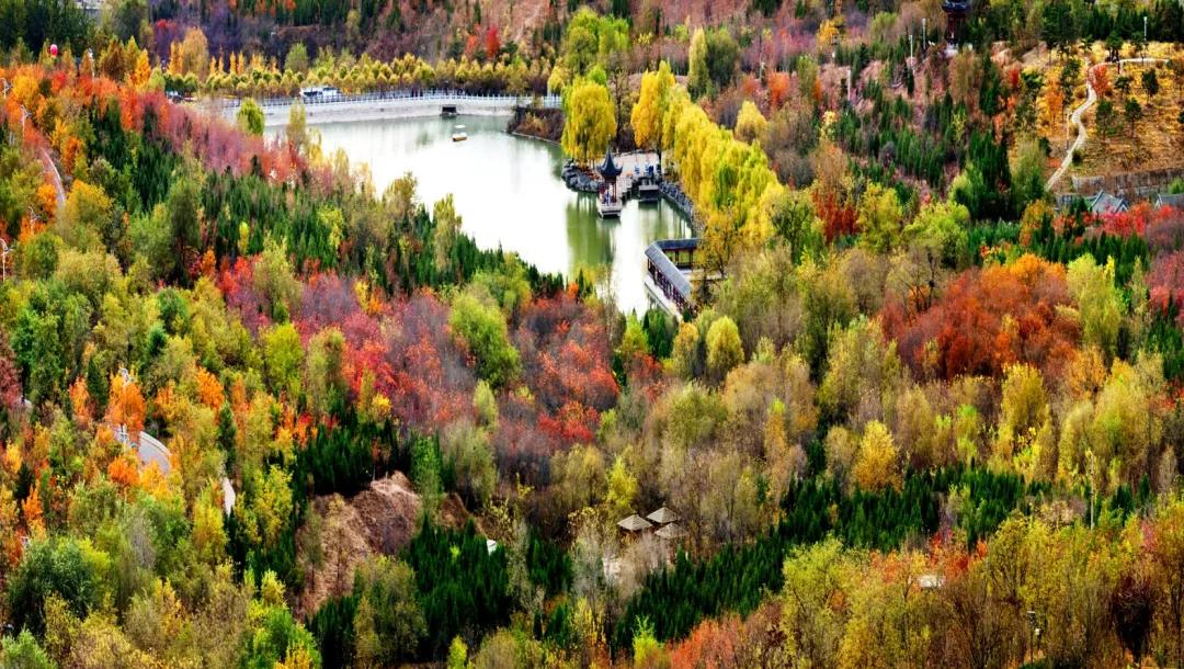 閲戠涓板彴璧忕帺鏀荤暐鍑虹倝,涓板彴閲戠鏂囧寲鏃呮父鏀荤暐