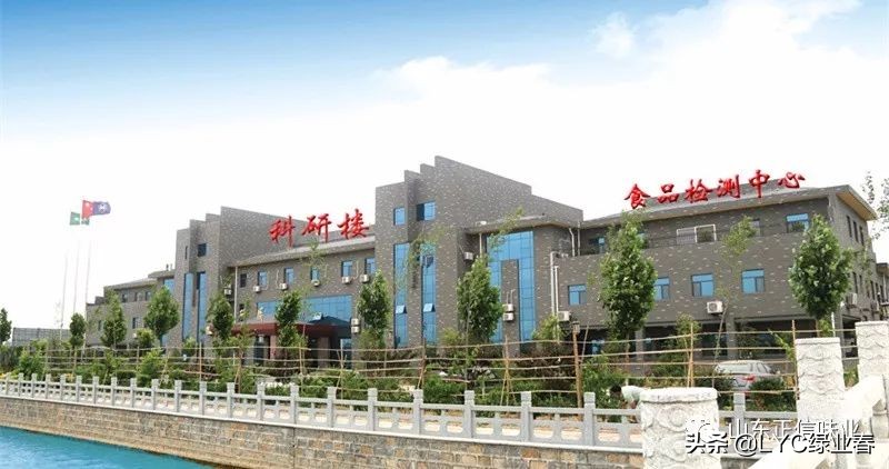 山东正信味业食品有限公司官网,山东正信味业食品有限公司的醋