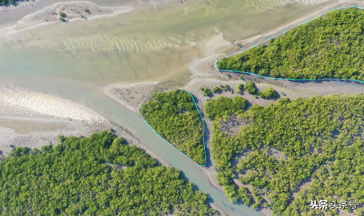 北海未来国家战略,国家发展北海的目的是什么