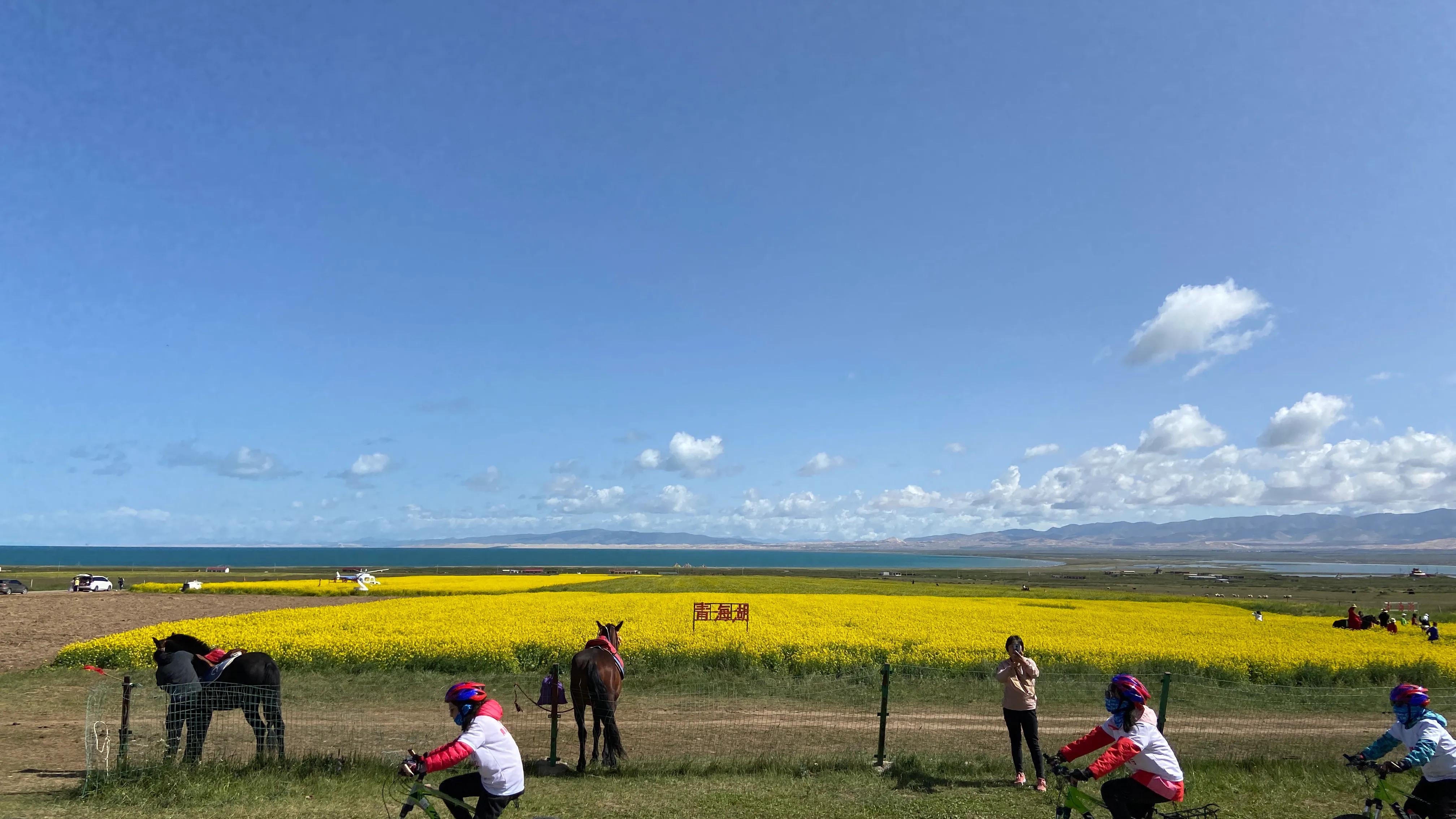 哈弗h9柴油进气歧管,说说老款哈弗h5