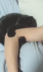 今天下午右眼老跳是什么原因,我这几天右眼老是跳怎么回事